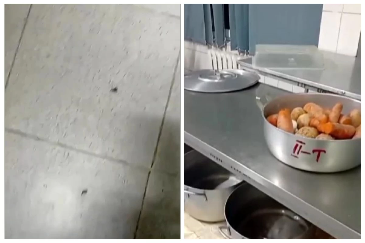 тарақан қаптаған