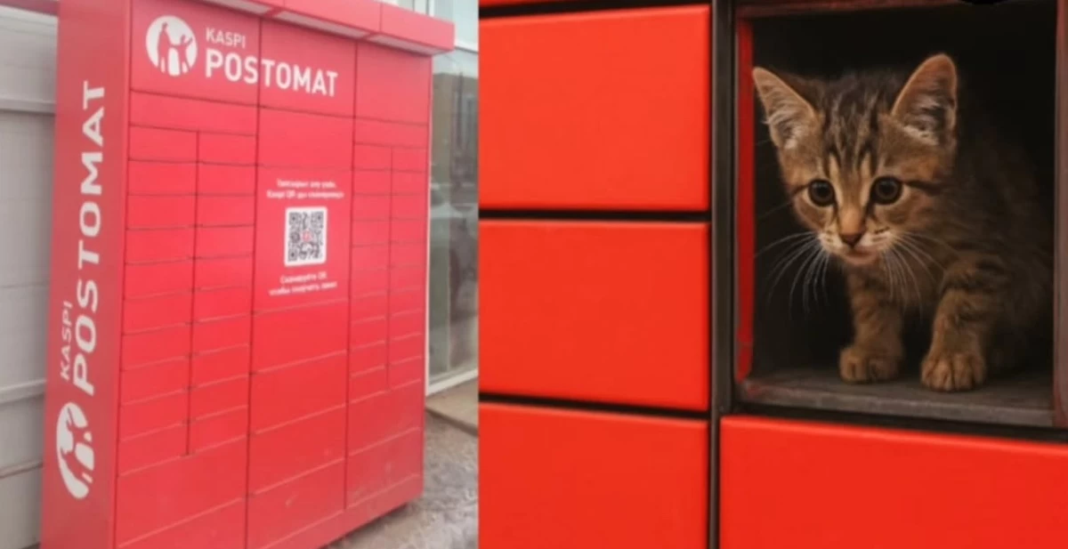 Жағажайда жасырын камера куннилингус