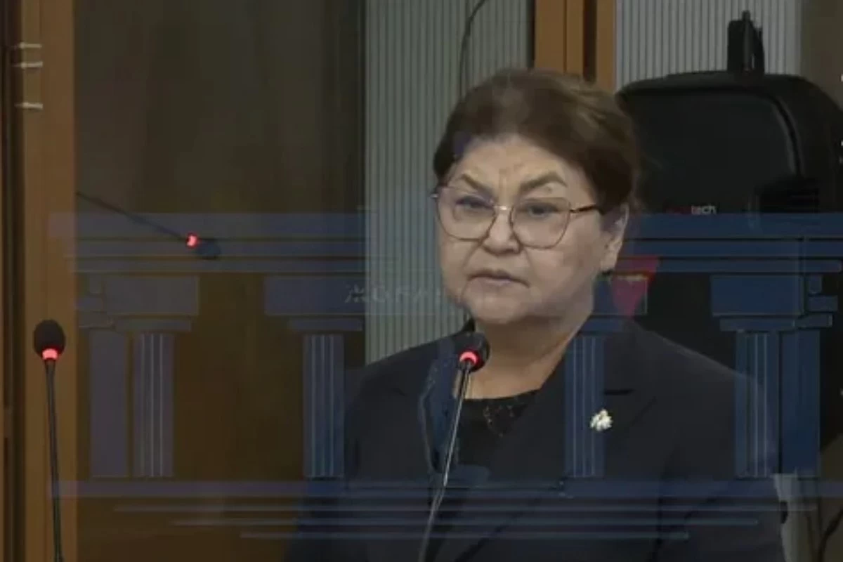 Бишімбаевтың анасы миллиард долларды қайдан алғанын айтты