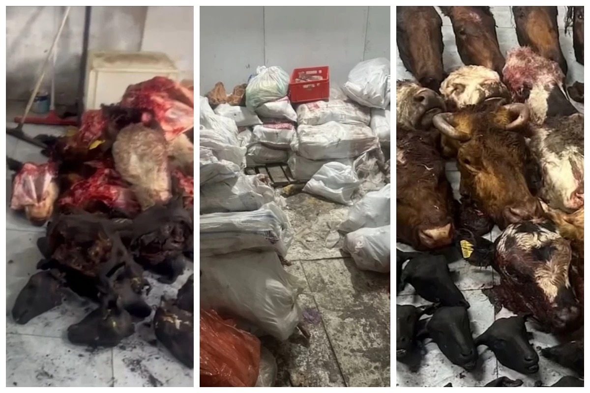 антисанитариялық жағдай