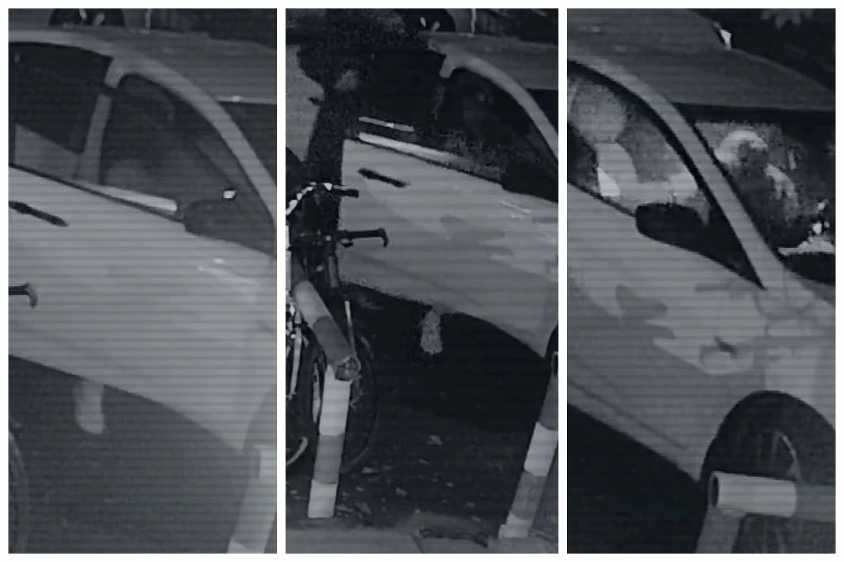 Яна Лекгодимованың жоғалған күні бейнекамераға түскен видеосы жарияланды