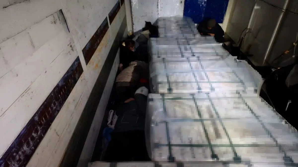 шетелдіктер жүк арасына жасырынған