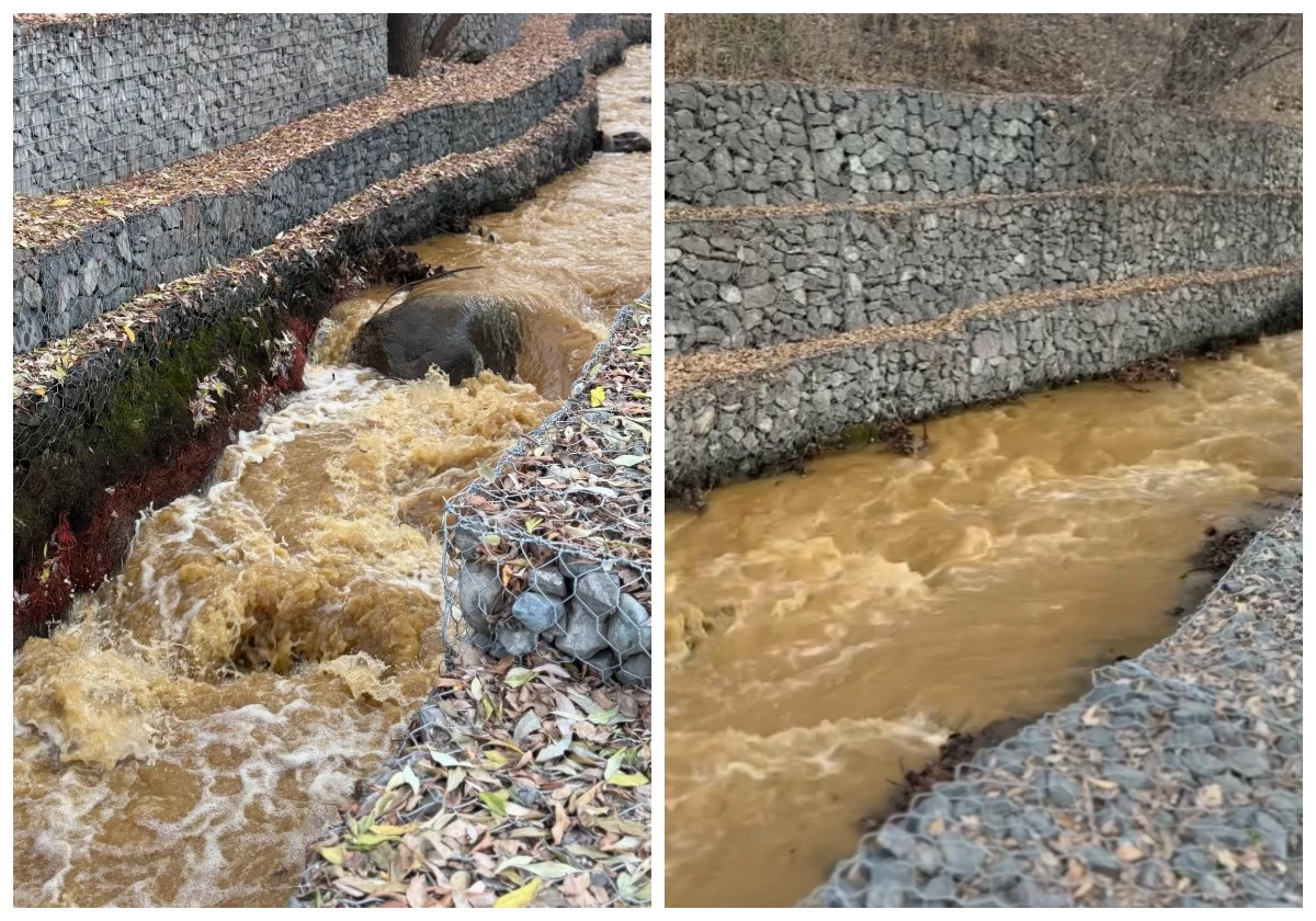 Тереңқұр су ластануы 