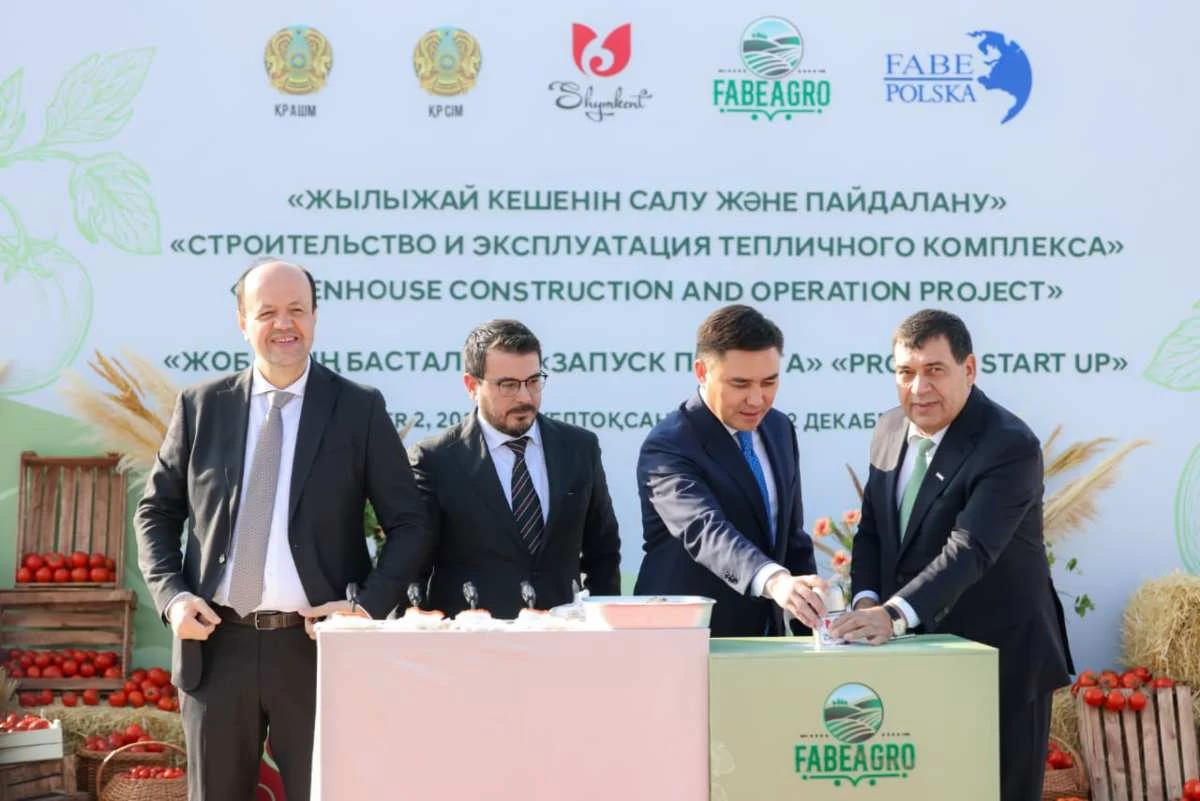 В Шымкент началось строительство крупного тепличного комплекса