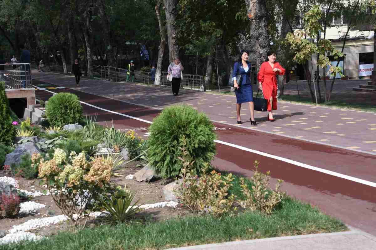 размещение