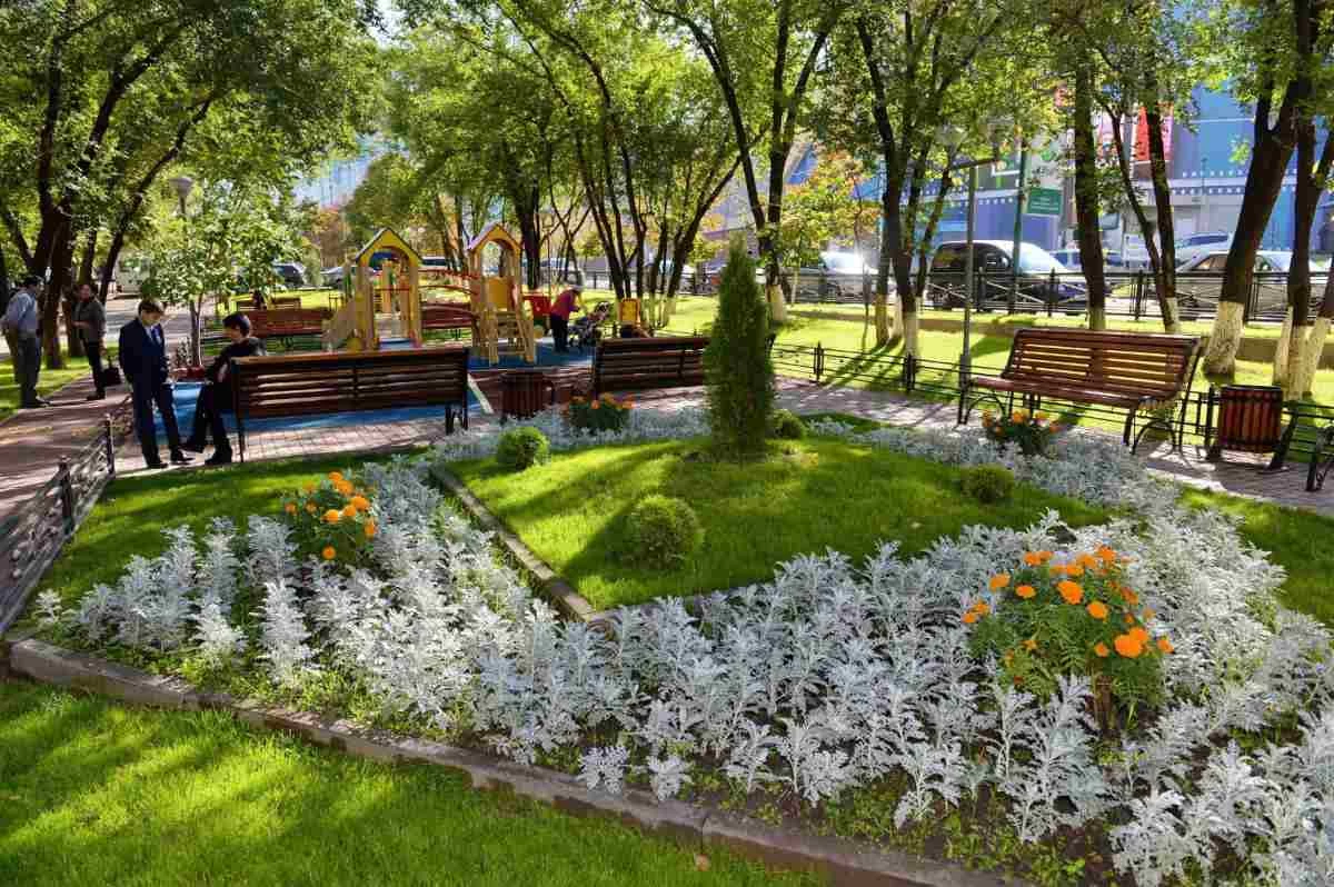 размещение