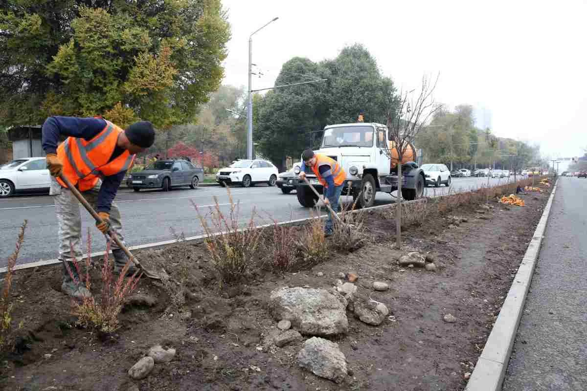 размещение