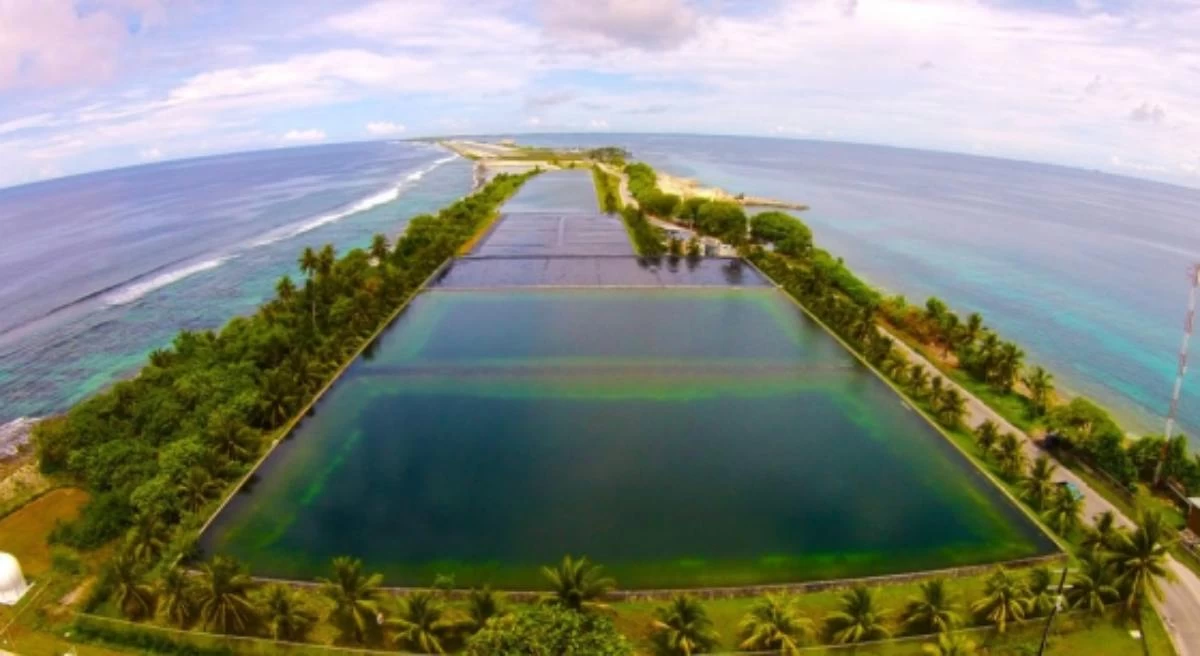 маршалл аралы