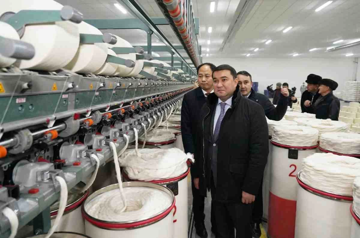 размещение