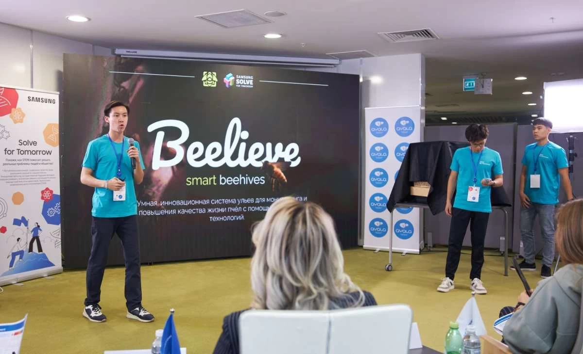 размещение