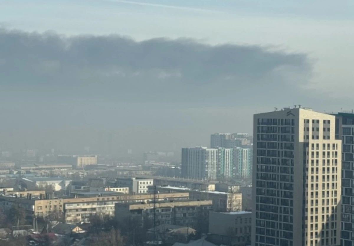 Алматылықтар көмірмен жұмыс істейтін жылу электр станциясын жабуды талап етіп жатыр