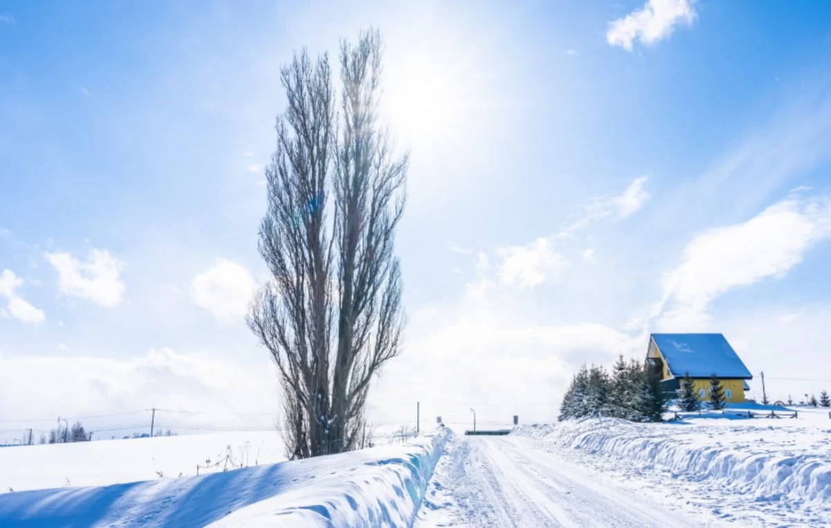 Басты жаңалықтар