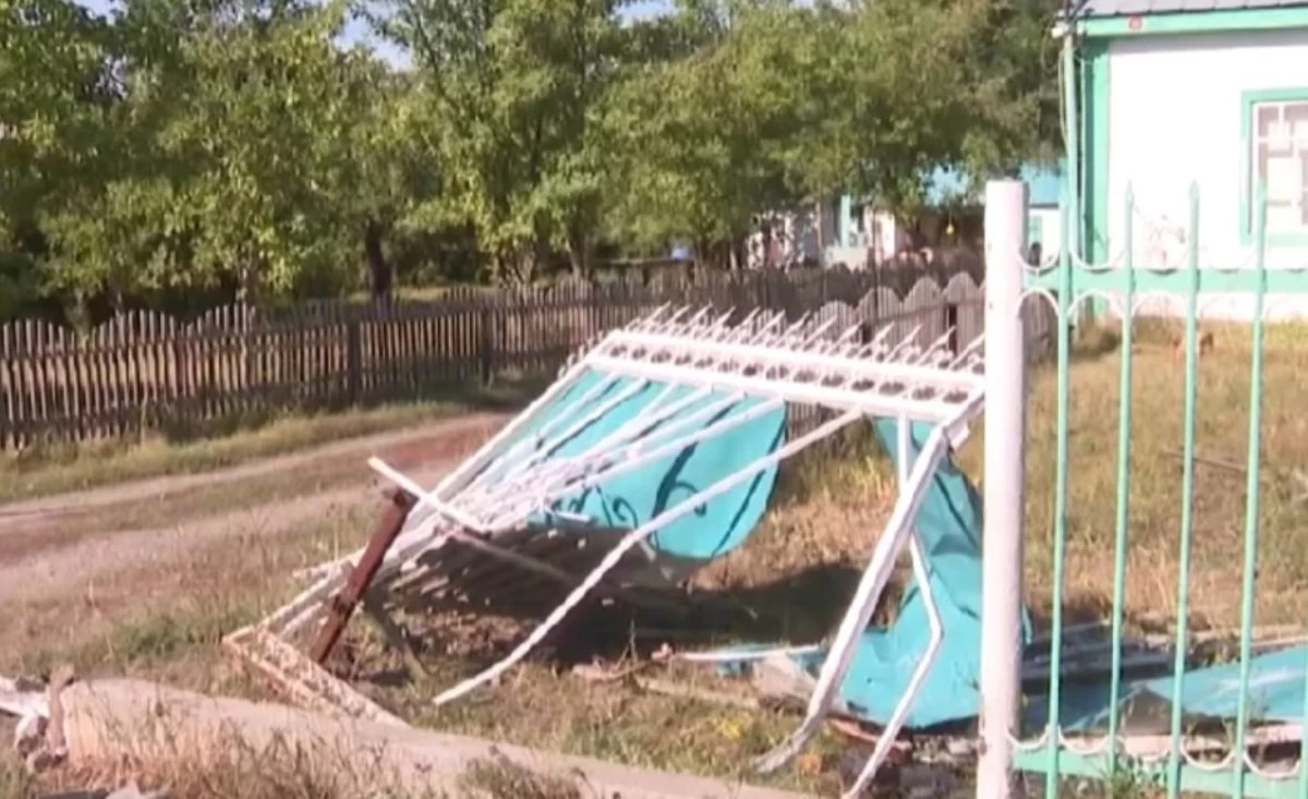 Бүлдіршіндердің отбасы науқасқа жүргізуші куәлігін бергендердің жазалануын талап етіп отыр