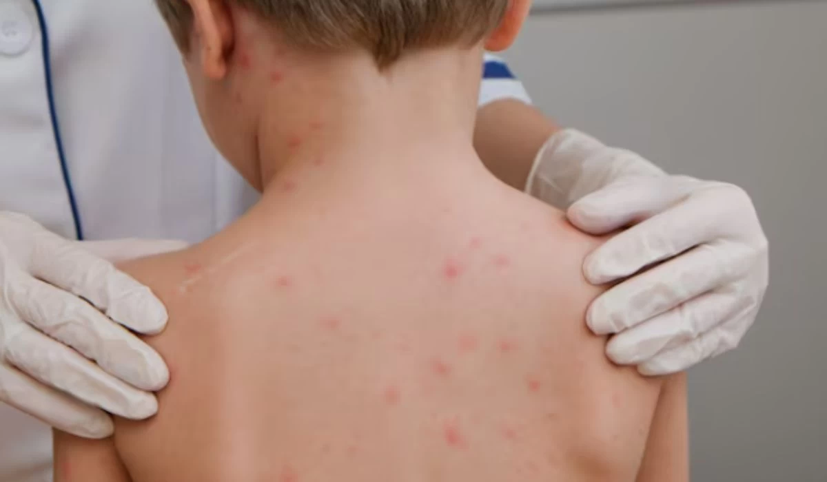 Басты жаңалықтар