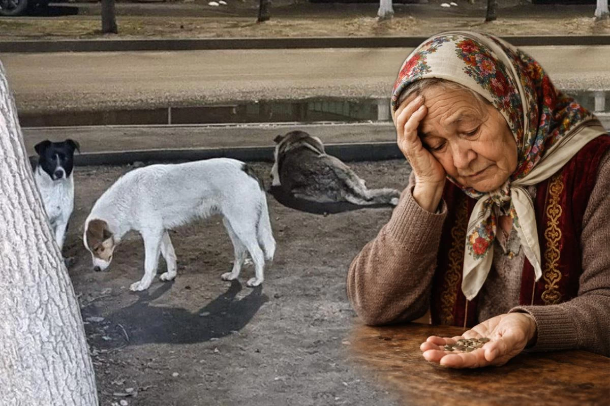 Иттерге жаны ашып, жылыту үшін подъезге кіргізген алматылық зейнеткер айыппұл арқалады