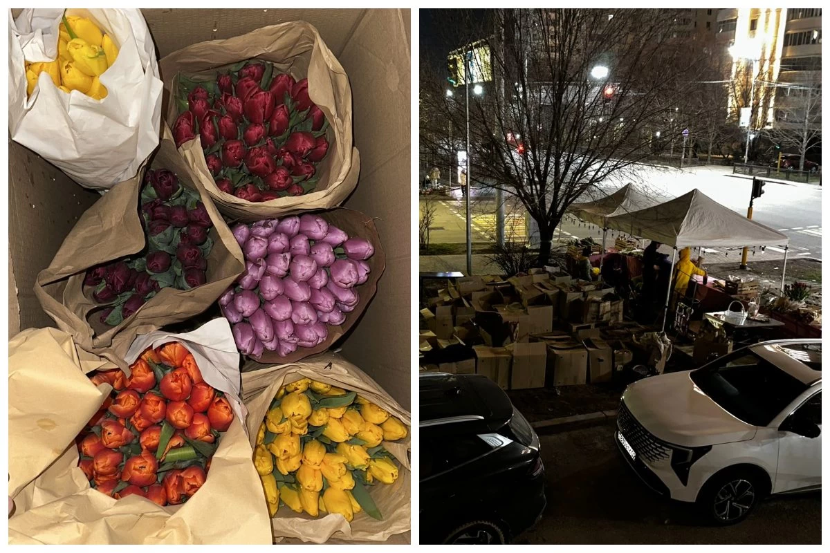 Қазақстандық кәсіпкер биыл қызғалдақтардың не себепті сатылмай қалғанын айтты