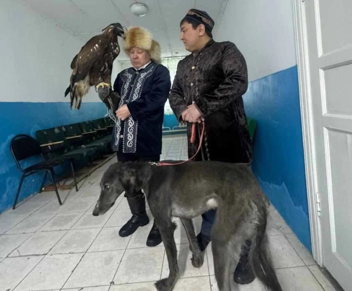 референдумға киім