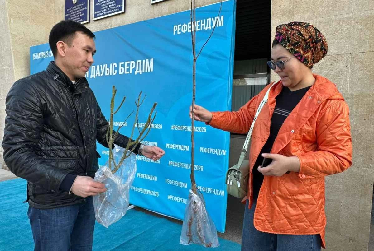 размещение