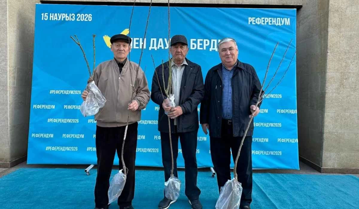 размещение