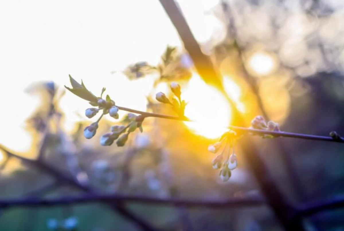ауа райы  алдағы күндер 