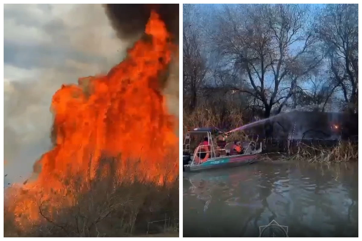 Ағаштар мен бұталар жанып кетті: Құрғақ шөпке өрт қойған қазақстандық жауапқа тартылды