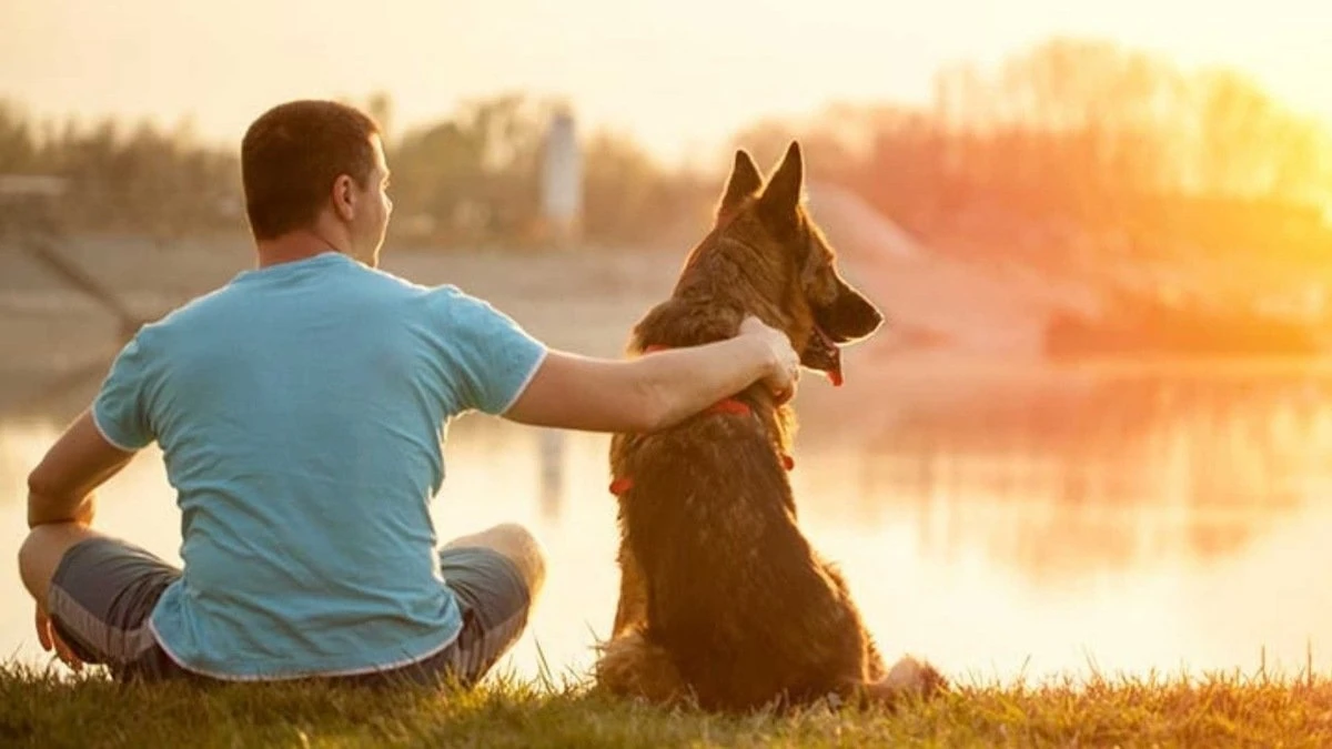 Басты жаңалықтар