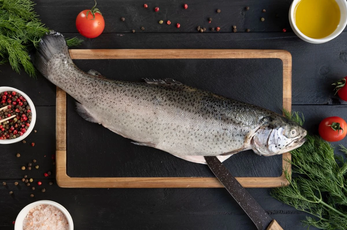 Басты жаңалықтар