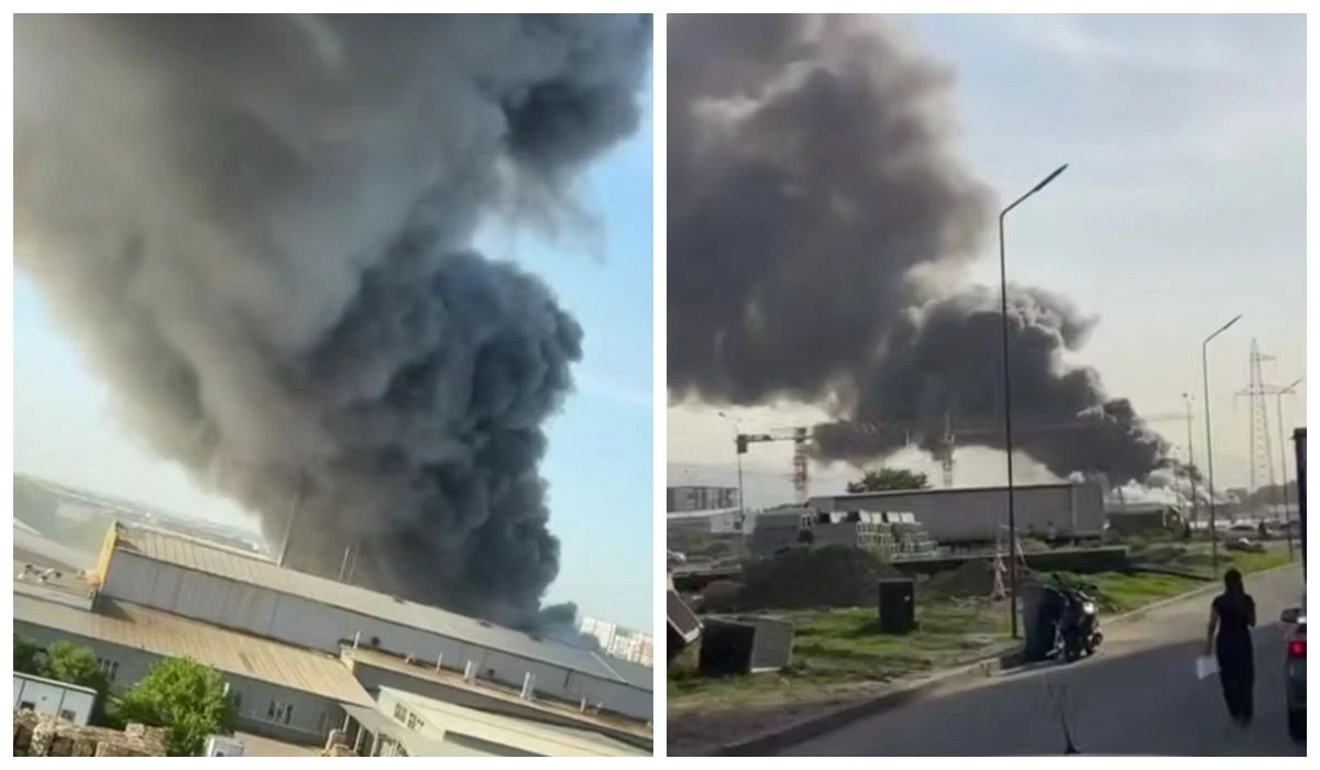 Басты жаңалықтар