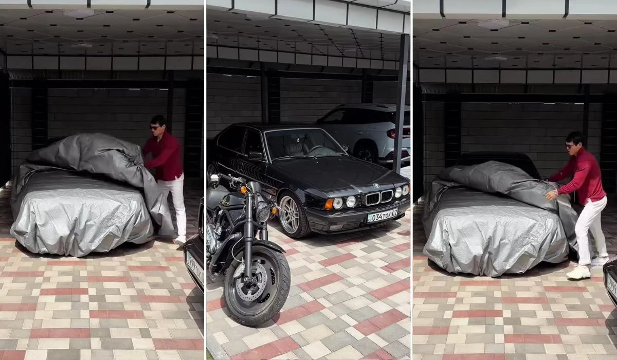 Шоу-бизнес