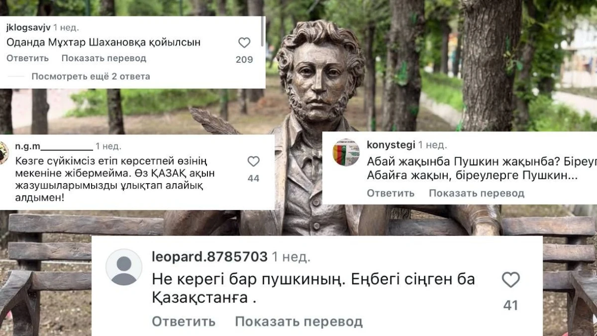 пікірлер