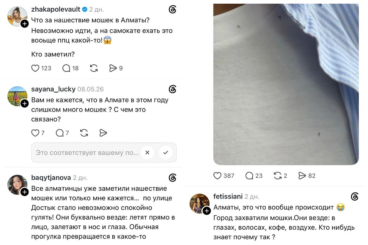 Алматы шіркей