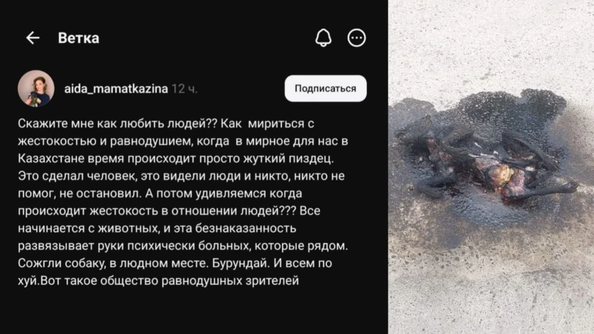 итті өртеп жіберген