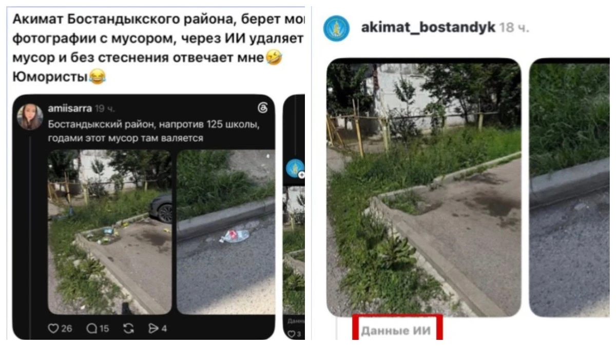 желідегі пікірлер