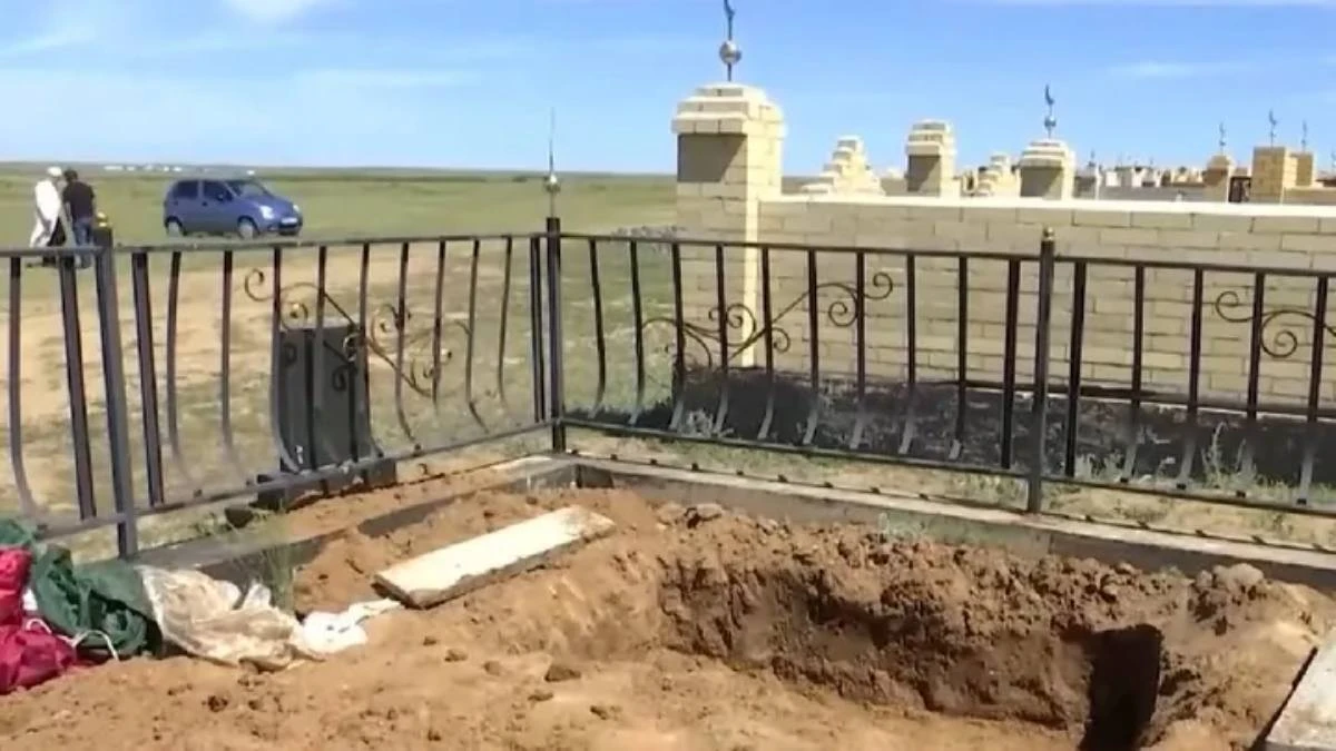 мола