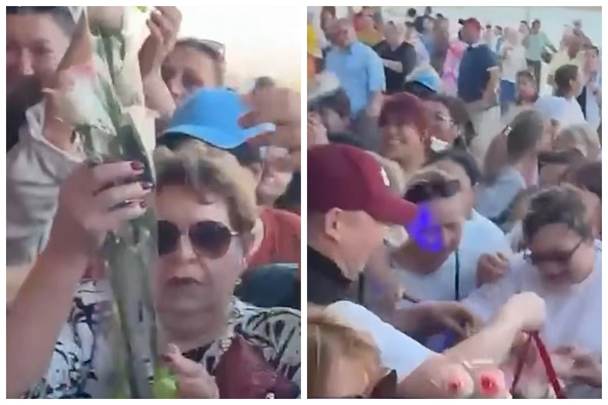 тегін гүлге таласты