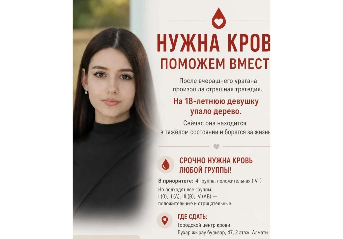 Алматыда дауылда ағаш құлаған қыз