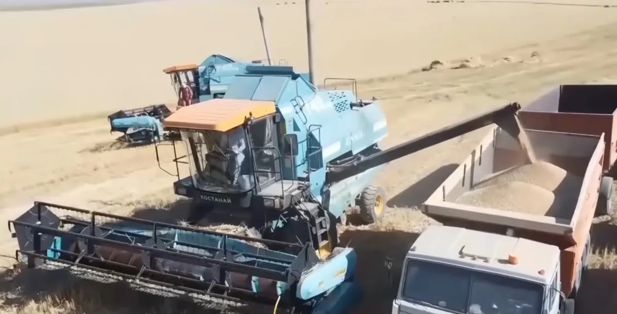 егістік құрғақшылық