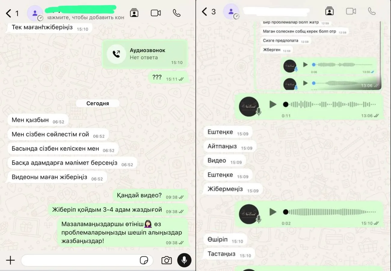 Жазбалары