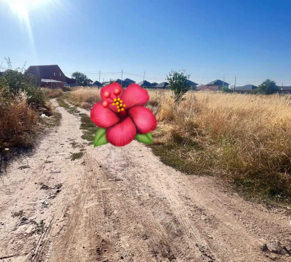 Борахан көшесі
