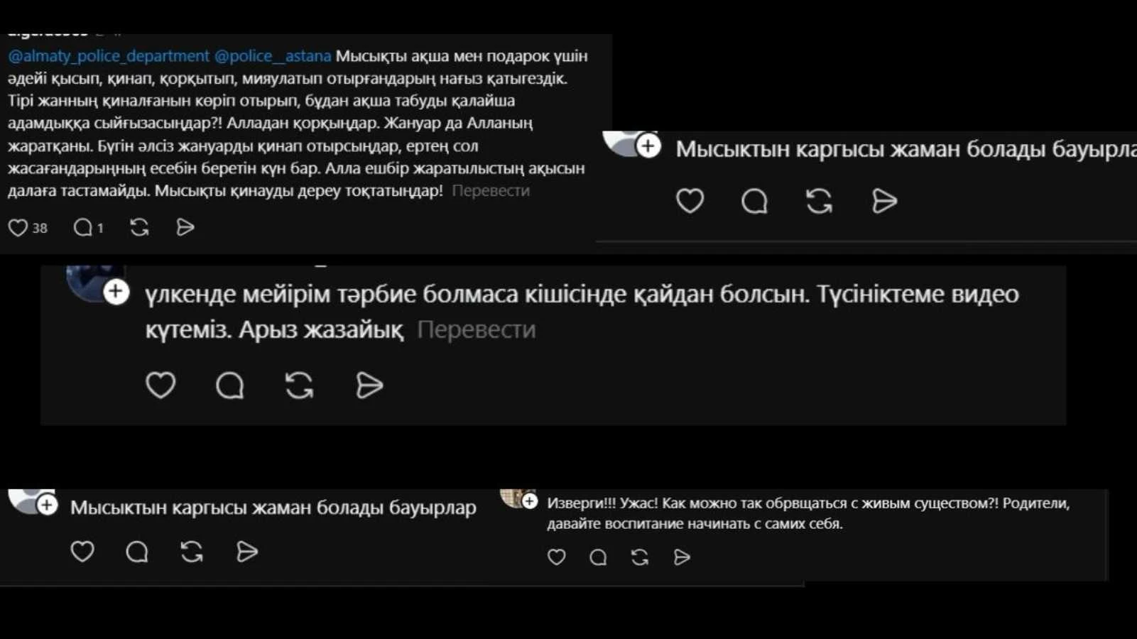 мысық комент