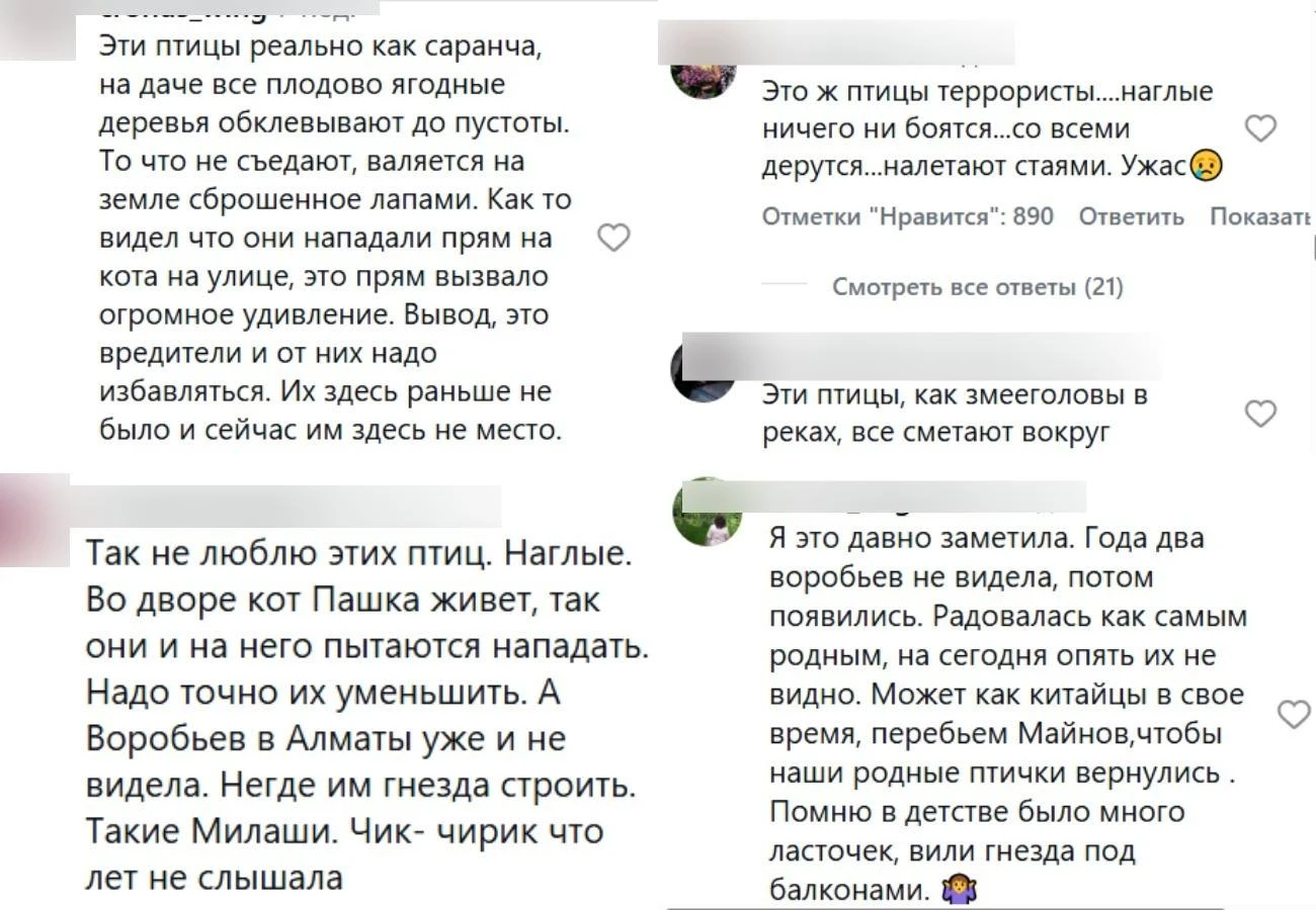 торғайлар