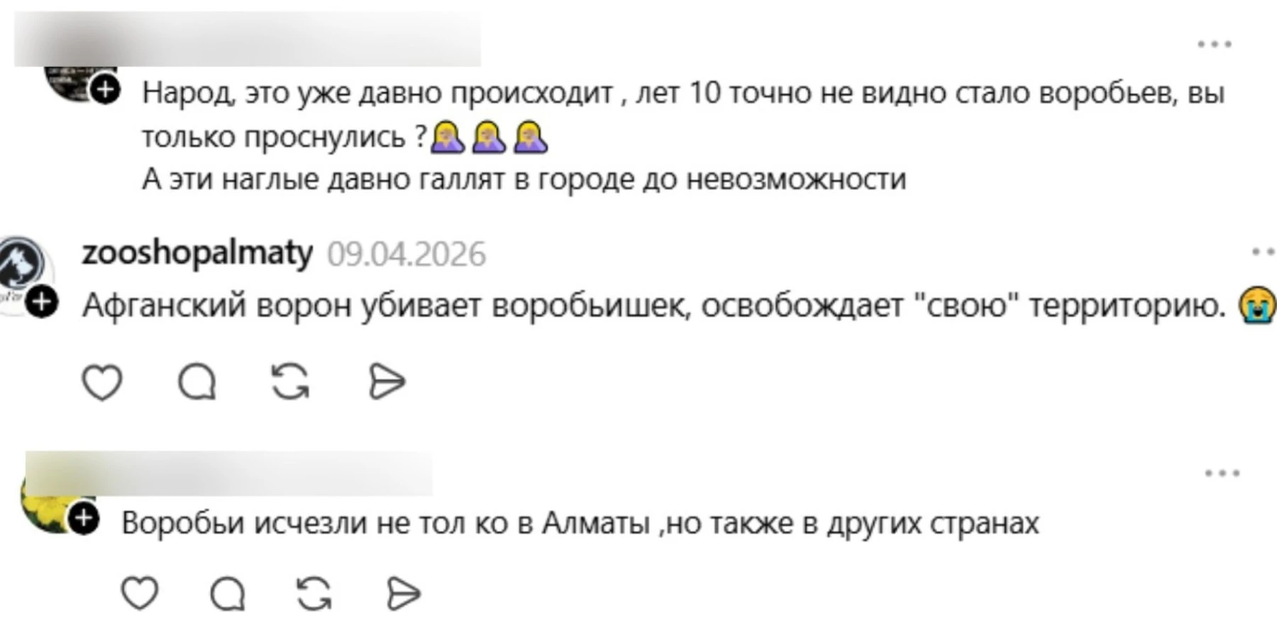 торғайлар 