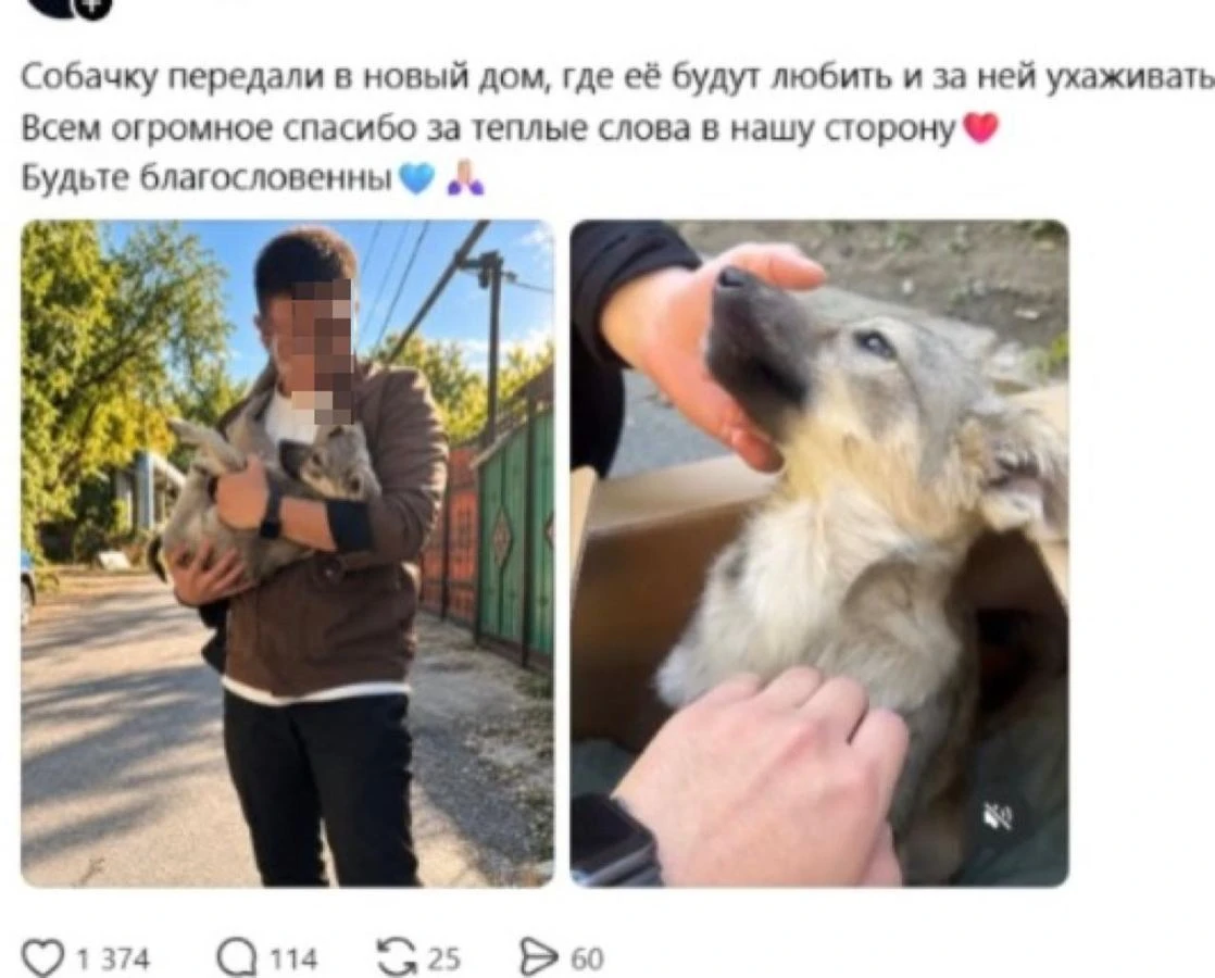 жануар