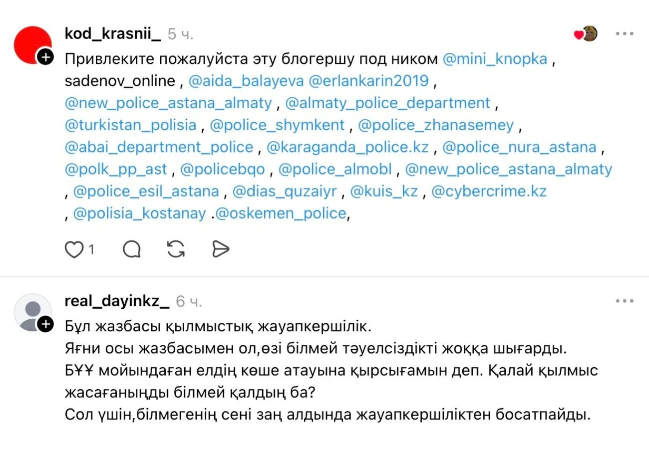 Айгерім Бердалиеваға қарсы жазба