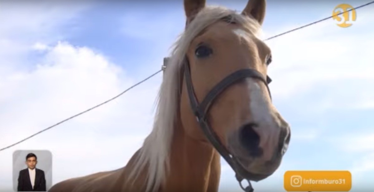 Өзі жұмыс істеген жерге ұрлыққа түскен