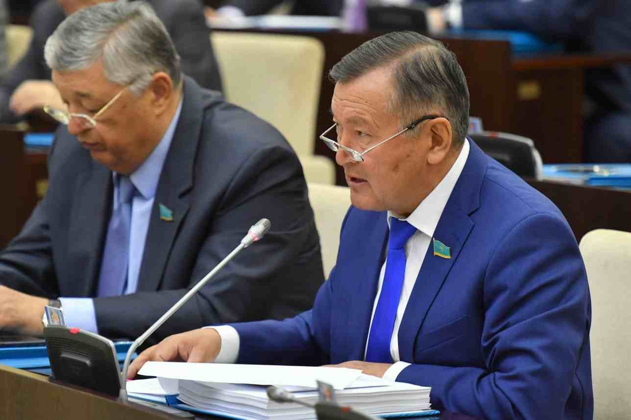 Бұрынғы сенатор жастар квотасы жайлы: Парламентті балабақшаға айналдырмаңыздар