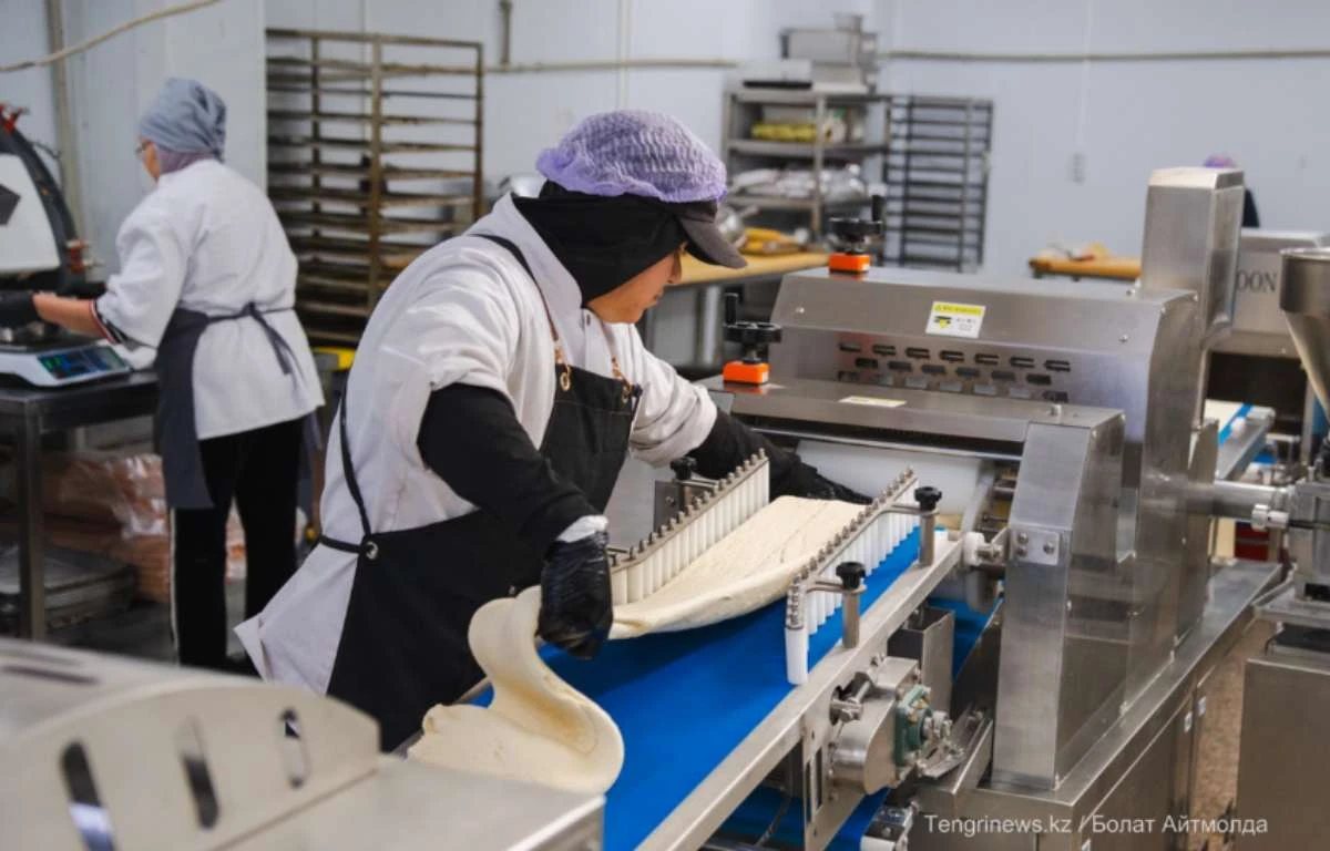 магнум размещение (6)