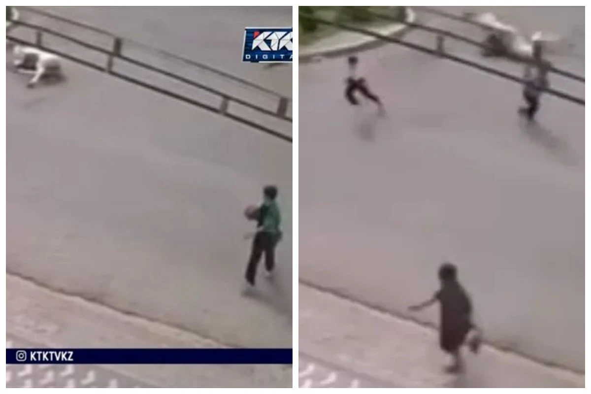 бала мінген ат көлікке соғылды