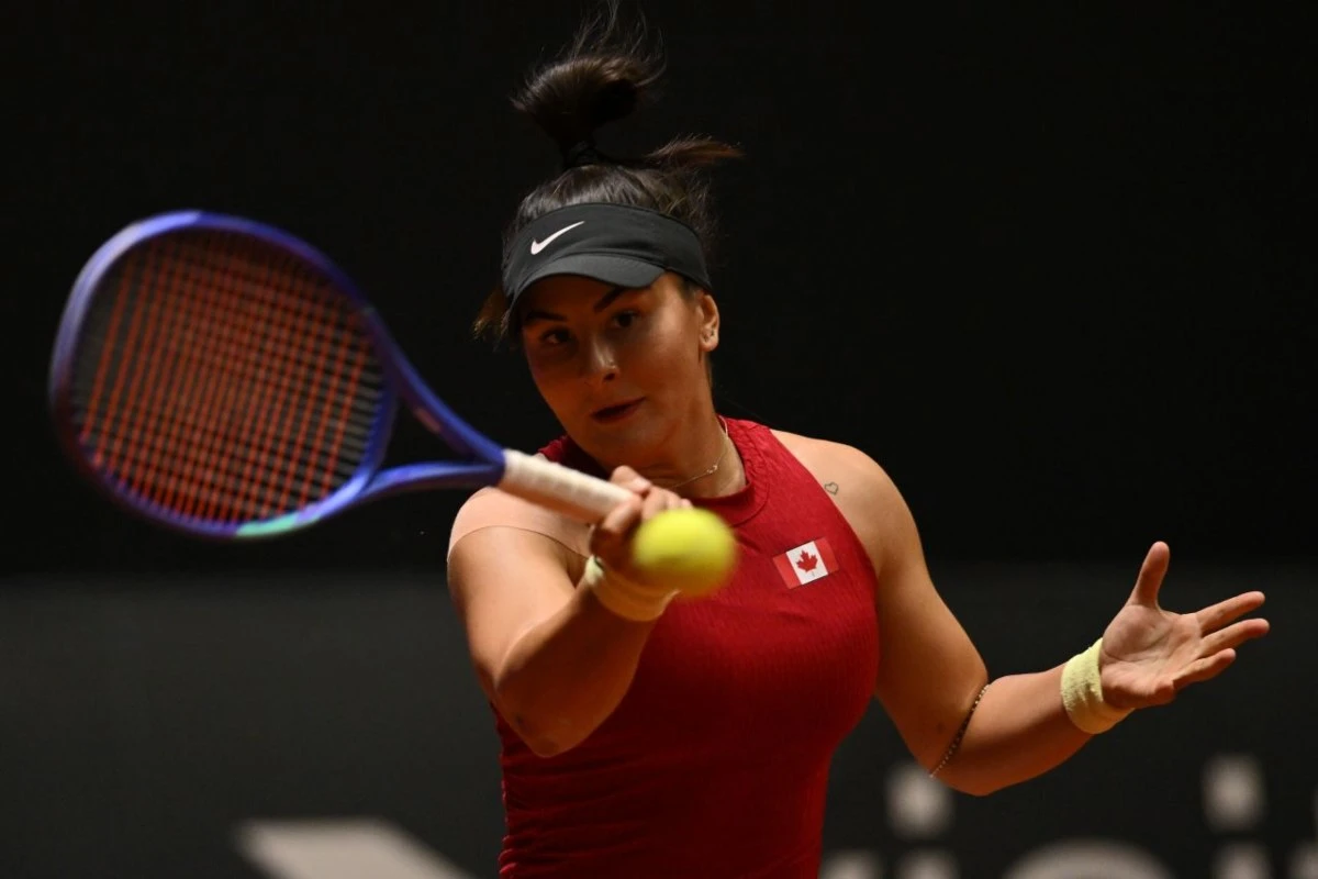 Бьянка Андрееску