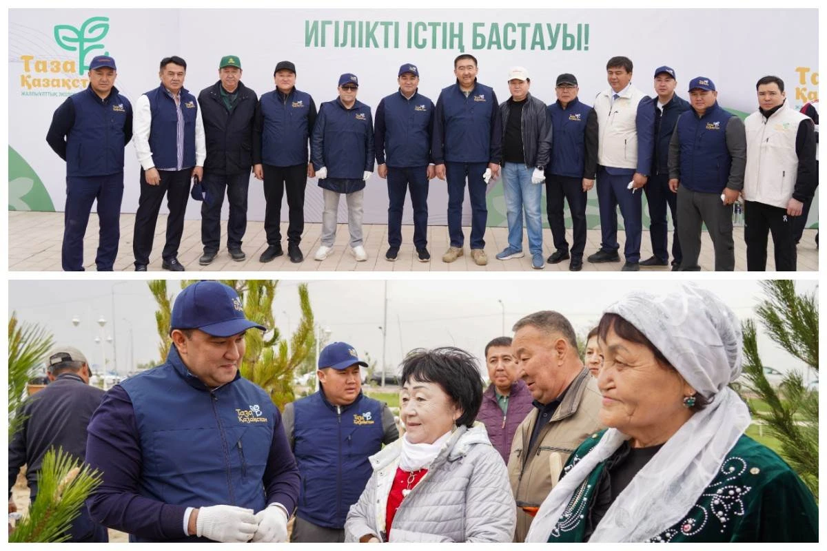 түркістан ағаш отырғызу